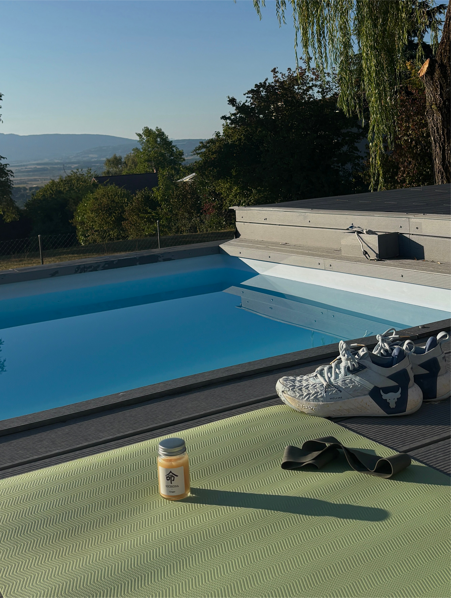 Ignite No.17 - Ginger Shots